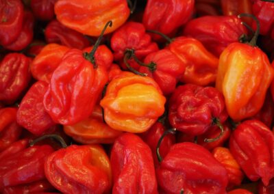 Chili Habaneros